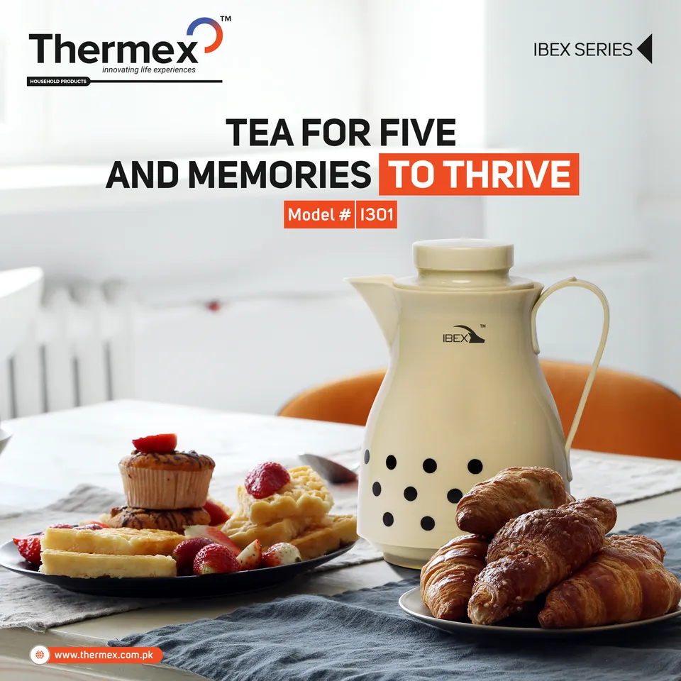 Thermex social media design 11