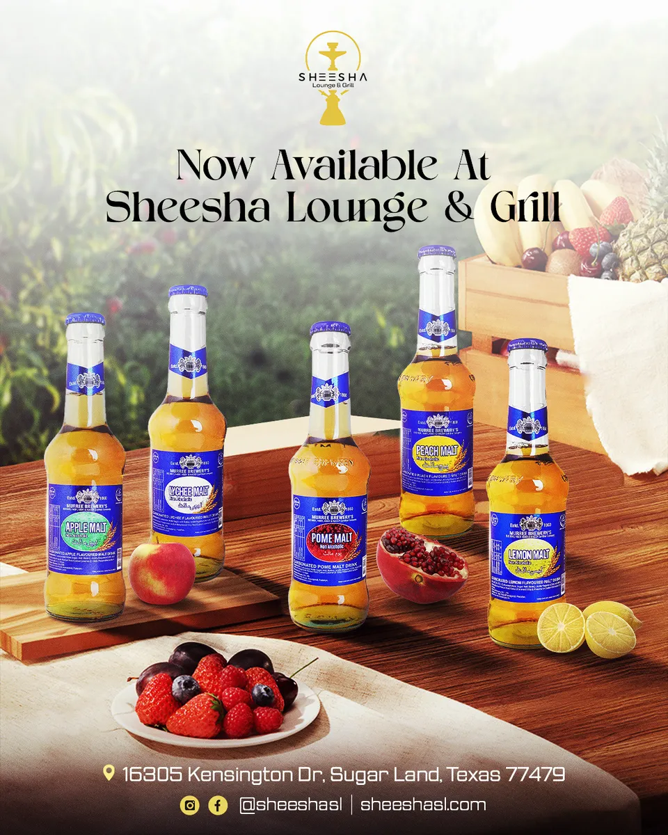 Sheesha Lounge and Grill food and beverage social design 10