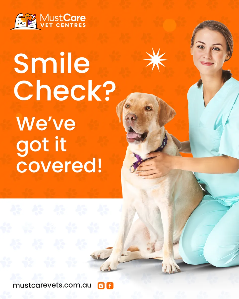 MustCare Vet Centres social media design 6