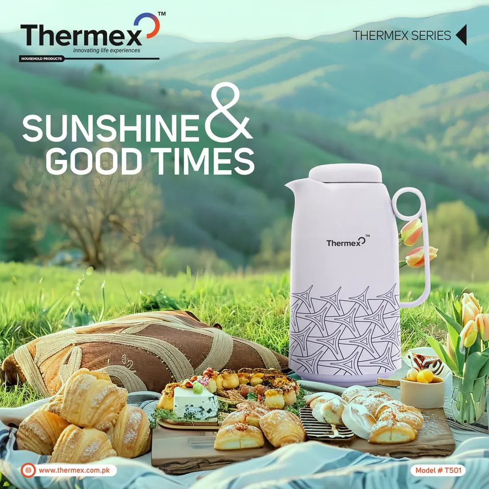 Thermex social media design 2