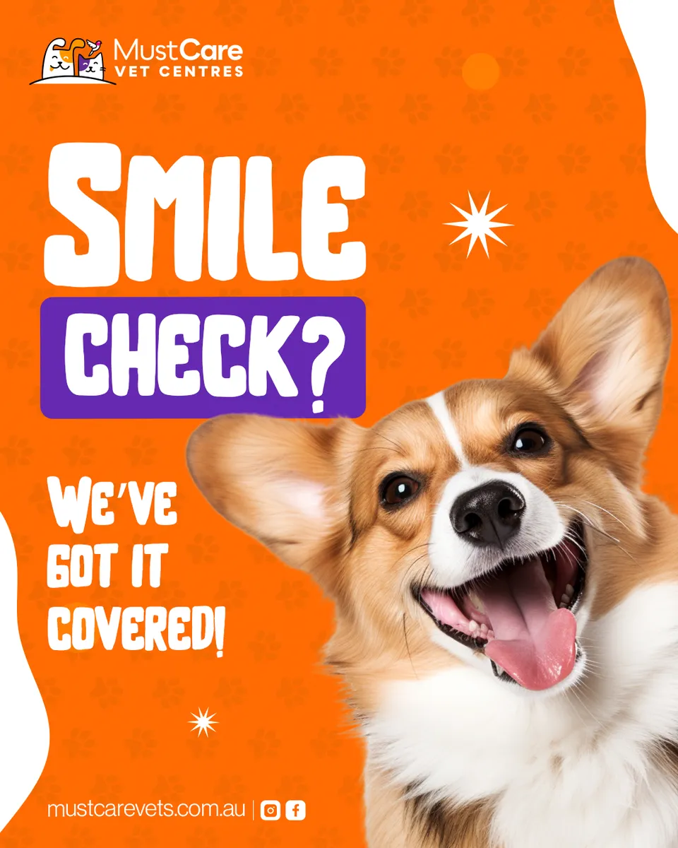 MustCare Vet Centres social media design 3