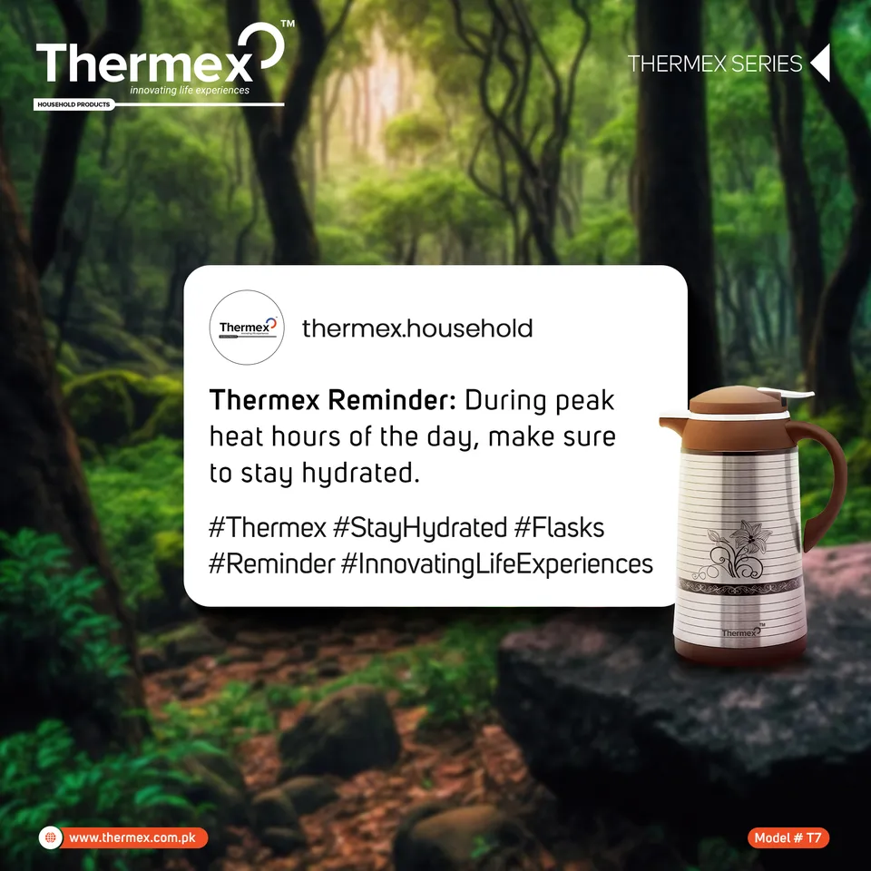 Thermex social media design 9